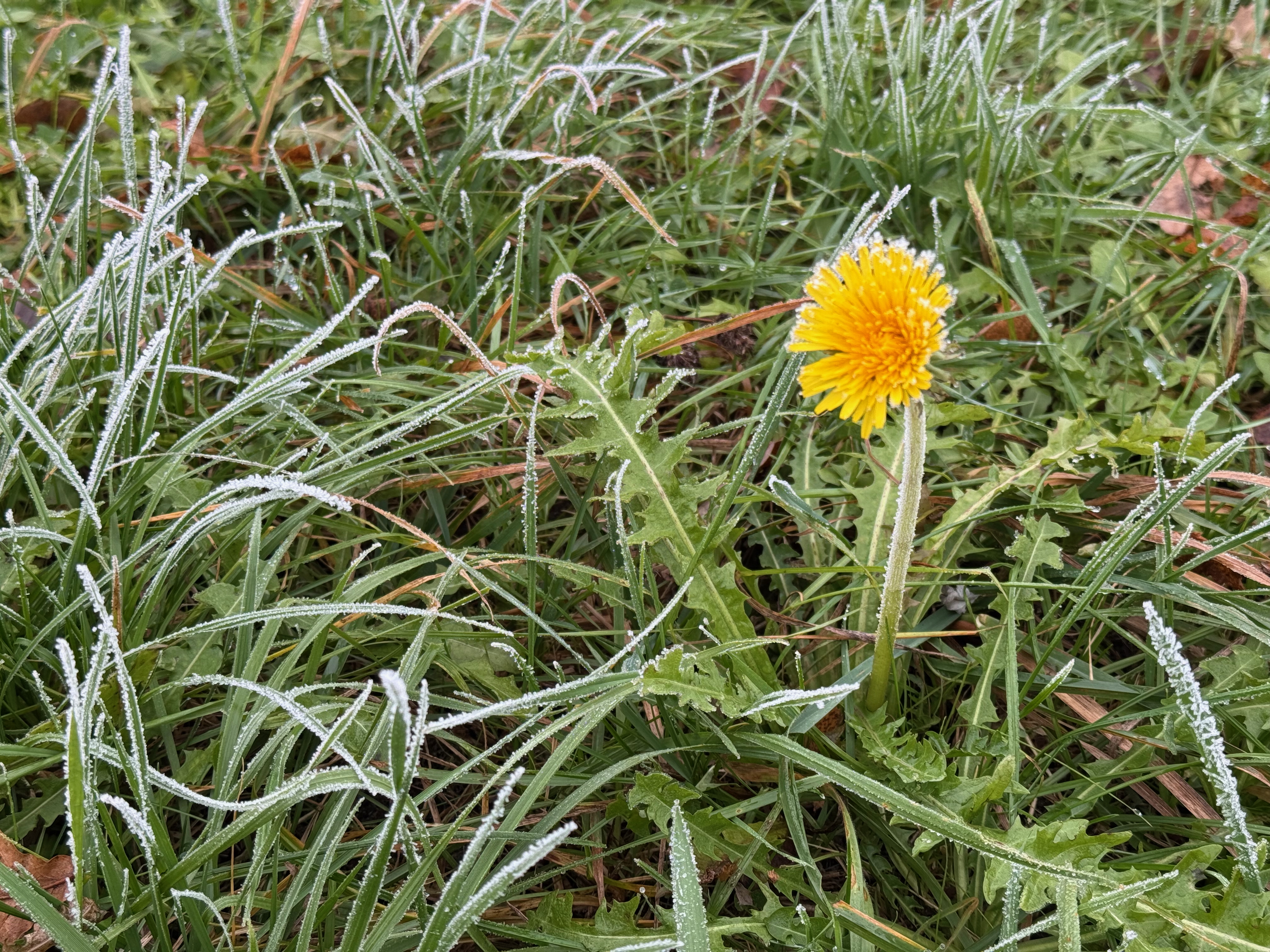 Willkommen bei colhoun.de